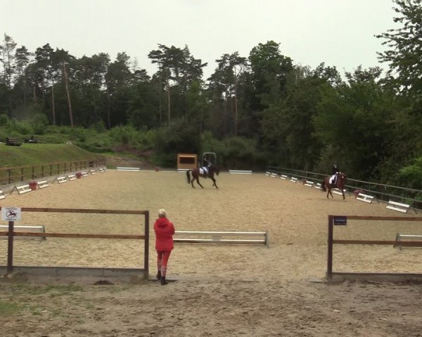 Reitturnier Iserlohn-Kalthof 2021