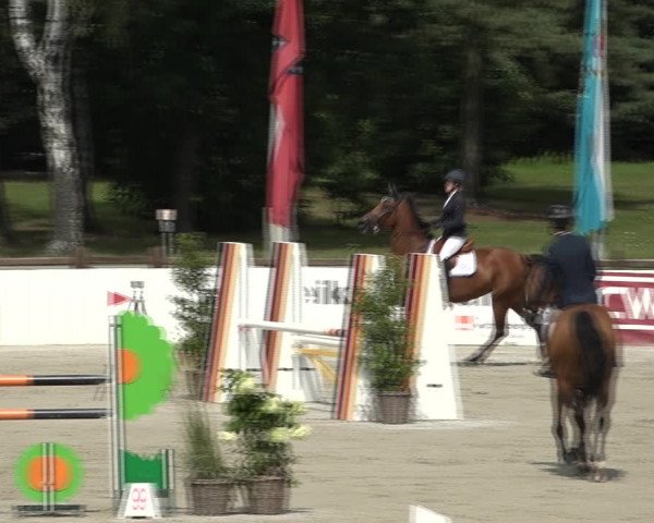 Reitturnier Westergellersen 2021