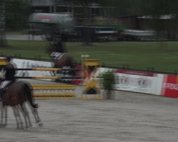 Reitturnier Westergellersen 2021