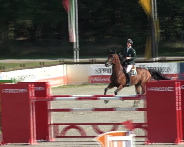 Reitturnier Westergellersen 2021