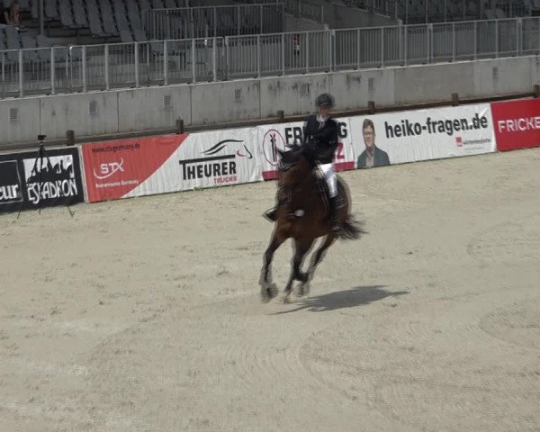 Reitturnier Westergellersen 2021