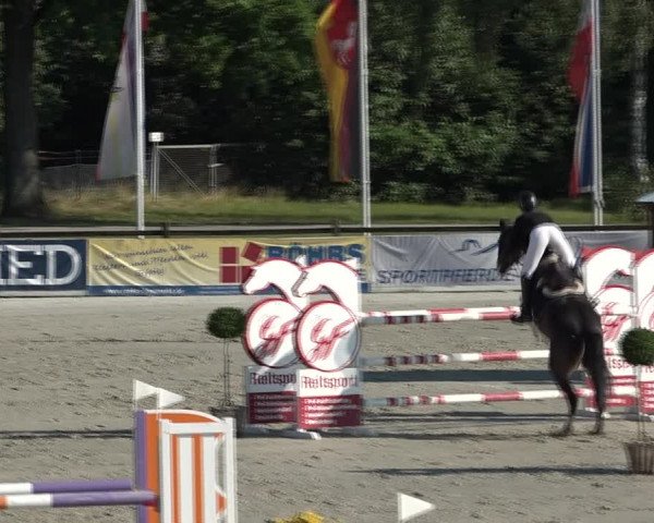 Reitturnier Westergellersen 2021