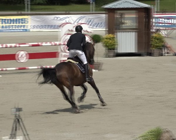 Reitturnier Westergellersen 2021