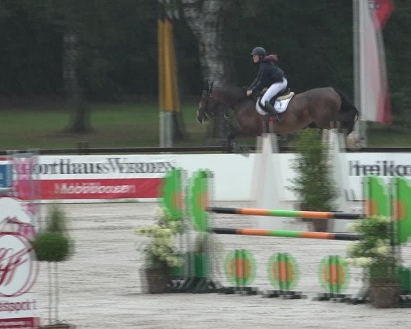 Reitturnier Westergellersen 2021