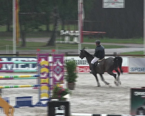 Reitturnier Westergellersen 2021