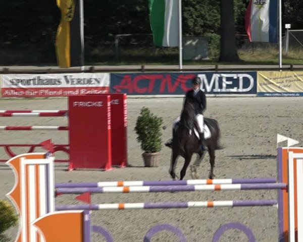 Reitturnier Westergellersen 2021