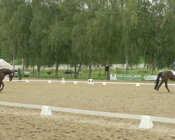 Dressurturnier Königsbach 2021