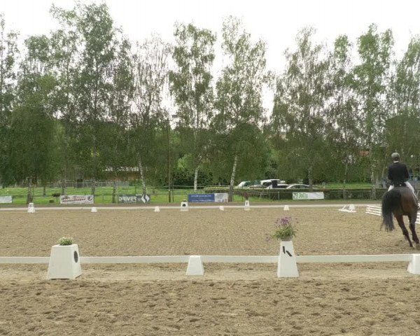 Dressurturnier Königsbach 2021