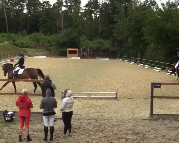 Reitturnier Iserlohn-Kalthof 2021