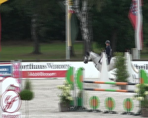 Reitturnier Westergellersen 2021
