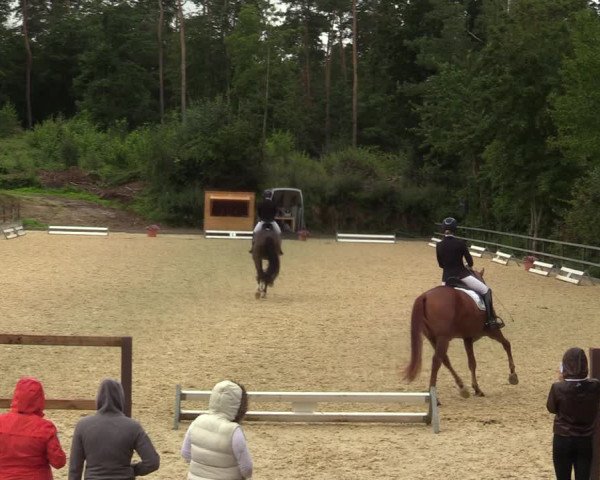 Reitturnier Iserlohn-Kalthof 2021