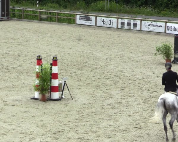 Reitturnier Münster-Amelsbüren 2021