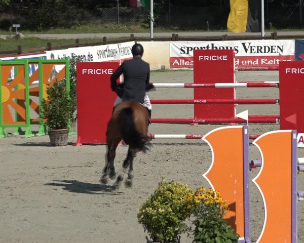 Reitturnier Westergellersen 2021