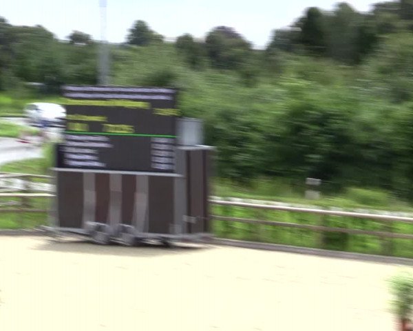 Reitturnier Münster-Amelsbüren 2021