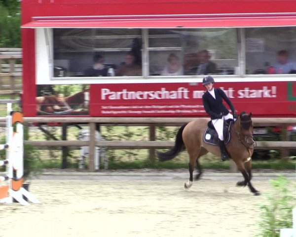 Reitturnier Münster-Amelsbüren 2021