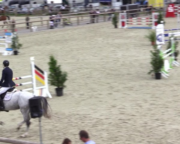 Reitturnier Münster-Amelsbüren 2021