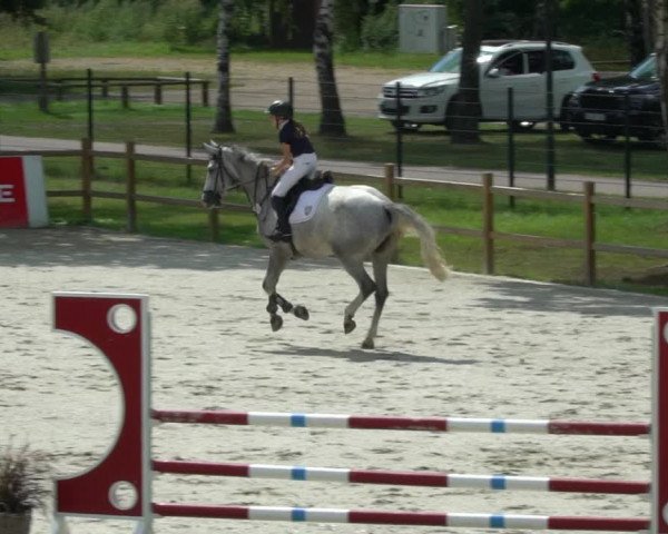 Reitturnier Westergellersen 2021