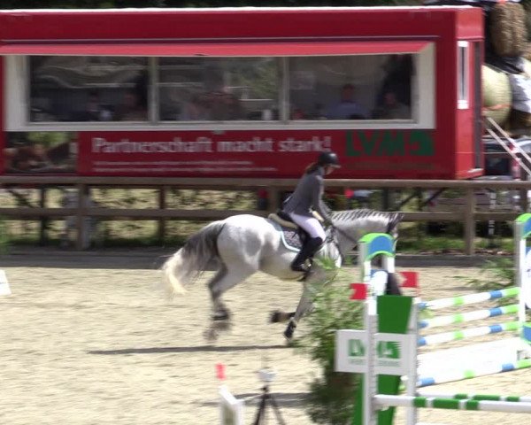 Reitturnier Münster-Amelsbüren 2021