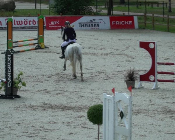Reitturnier Westergellersen 2021