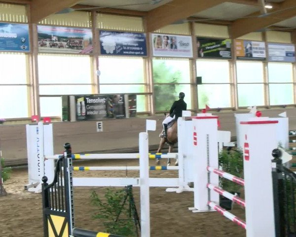 Reitturnier Biberach/Riß 2021