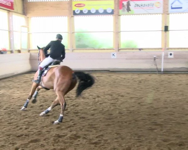 Reitturnier Biberach/Riß 2021
