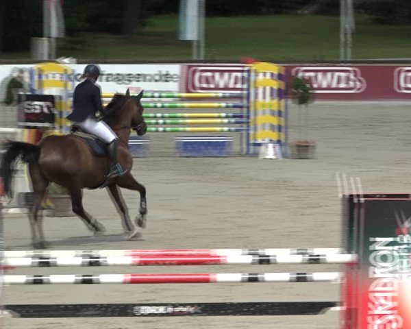 Reitturnier Westergellersen 2021