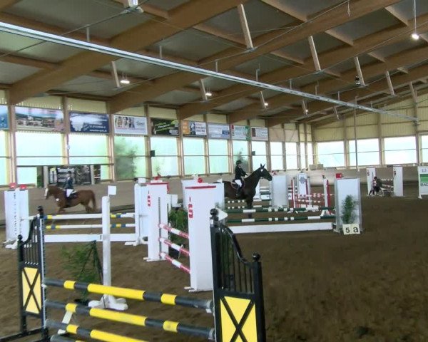 Reitturnier Biberach/Riß 2021