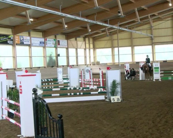 Reitturnier Biberach/Riß 2021