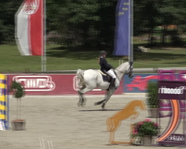 Reitturnier Westergellersen 2021
