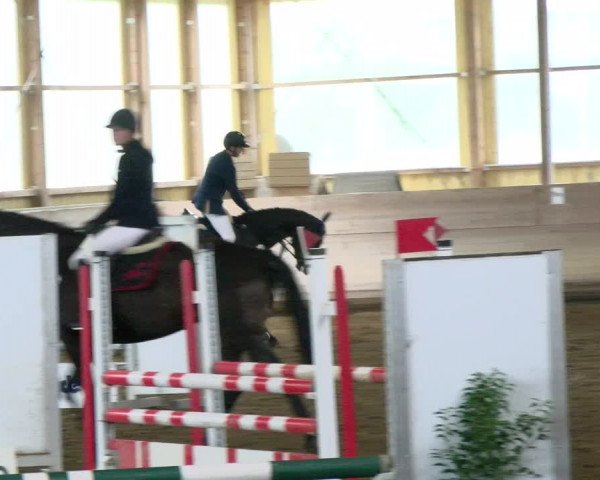 Reitturnier Biberach/Riß 2021