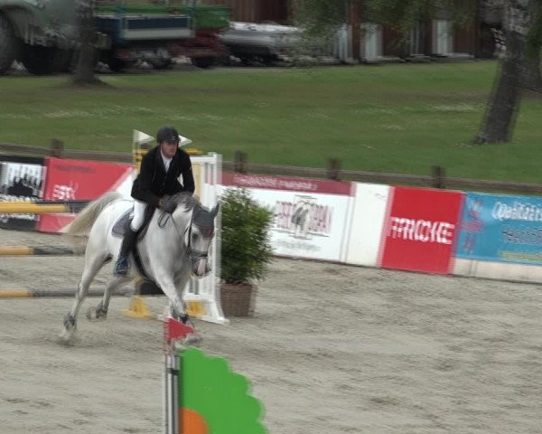 Reitturnier Westergellersen 2021