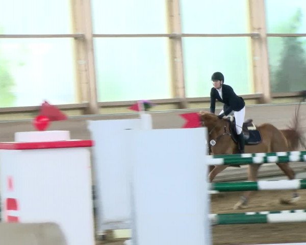 Reitturnier Biberach/Riß 2021