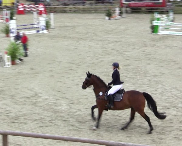 Reitturnier Münster-Amelsbüren 2021