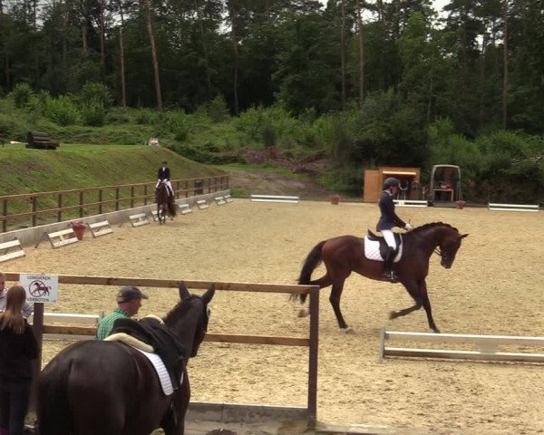 Reitturnier Iserlohn-Kalthof 2021