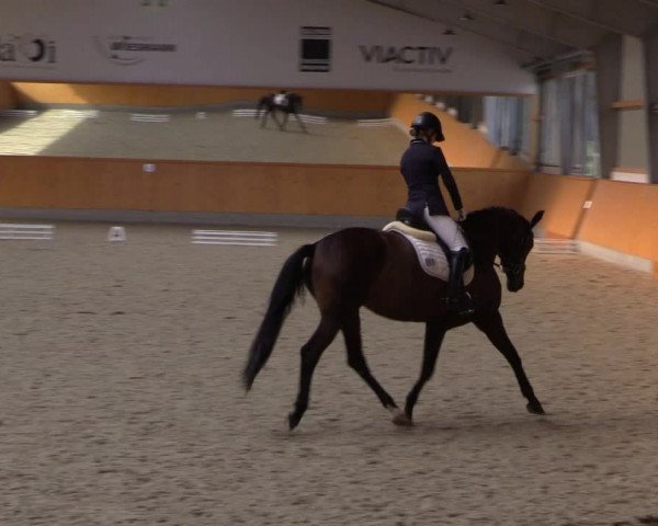 Reitturnier Münster-Amelsbüren 2021