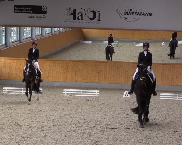 Reitturnier Münster-Amelsbüren 2021