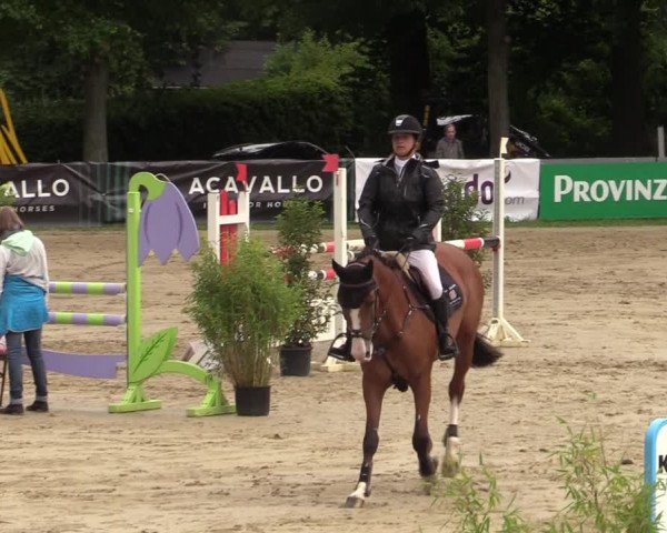 Reitturnier Iserlohn-Kalthof 2021