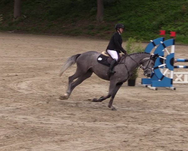 Reitturnier Iserlohn-Kalthof 2021
