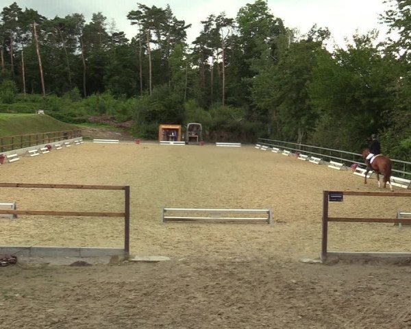 Reitturnier Iserlohn-Kalthof 2021