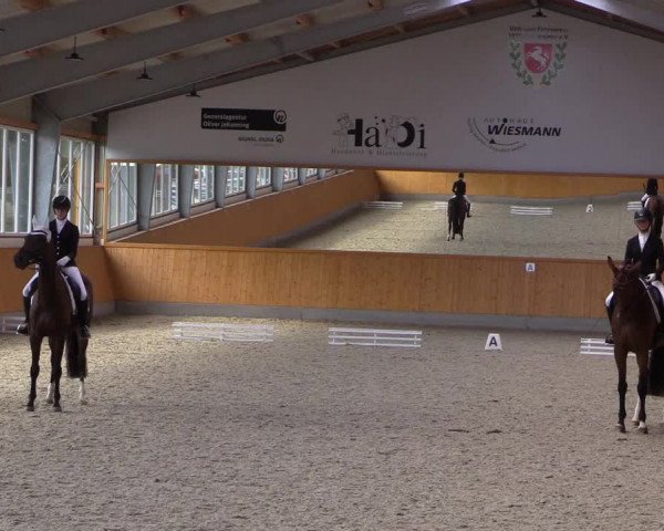 Reitturnier Münster-Amelsbüren 2021