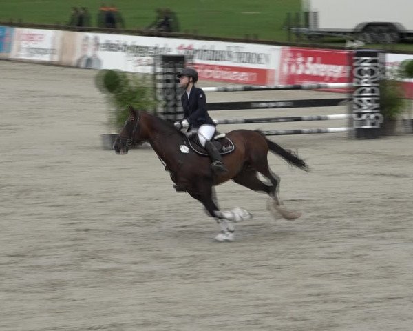 Reitturnier Westergellersen 2021