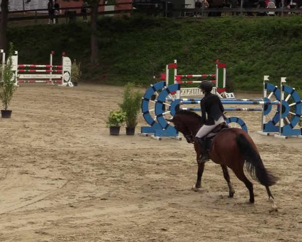Reitturnier Iserlohn-Kalthof 2021