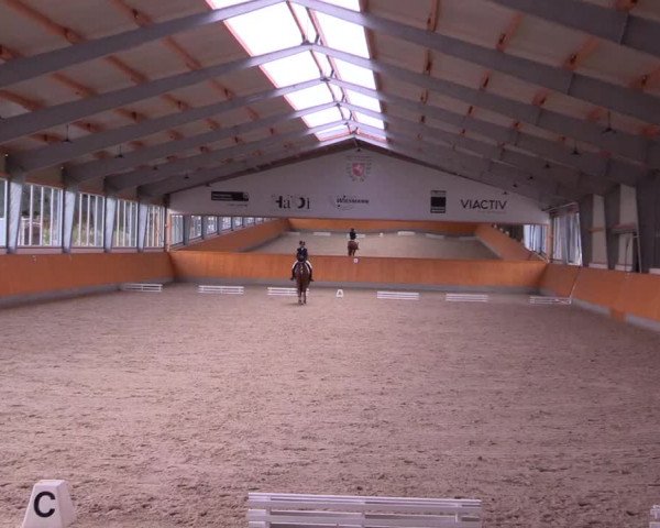 Reitturnier Münster-Amelsbüren 2021