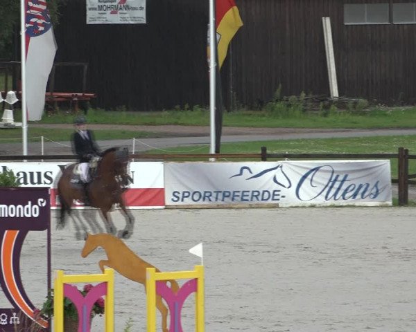 Reitturnier Westergellersen 2021