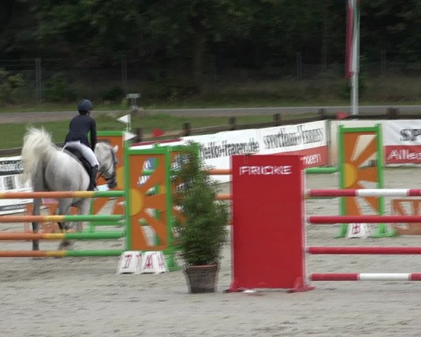 Reitturnier Westergellersen 2021