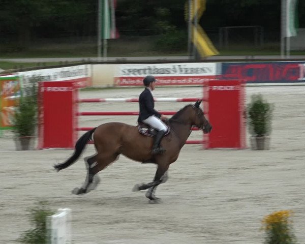 Reitturnier Westergellersen 2021