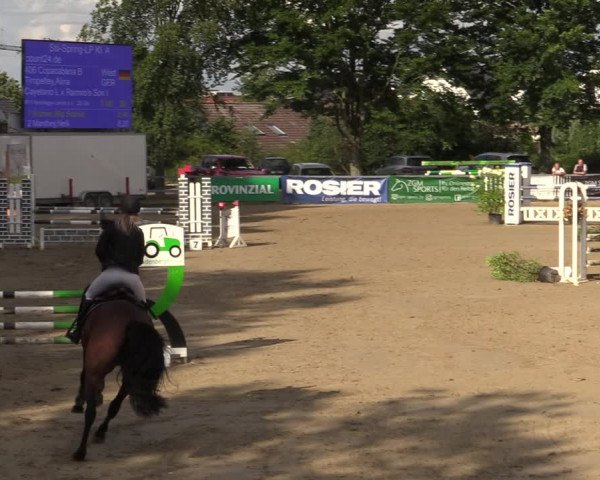 Reitturnier Iserlohn-Kalthof 2021