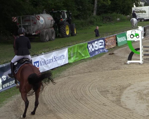 Reitturnier Iserlohn-Kalthof 2021