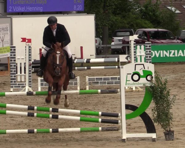 Reitturnier Iserlohn-Kalthof 2021