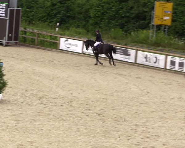 Reitturnier Münster-Amelsbüren 2021